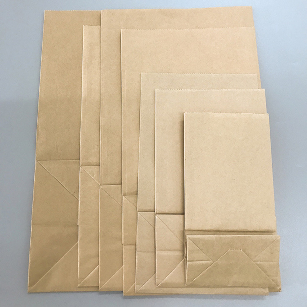 Food Snack - 100 sacs en papier kraft de